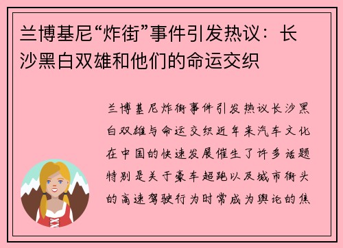 兰博基尼“炸街”事件引发热议：长沙黑白双雄和他们的命运交织