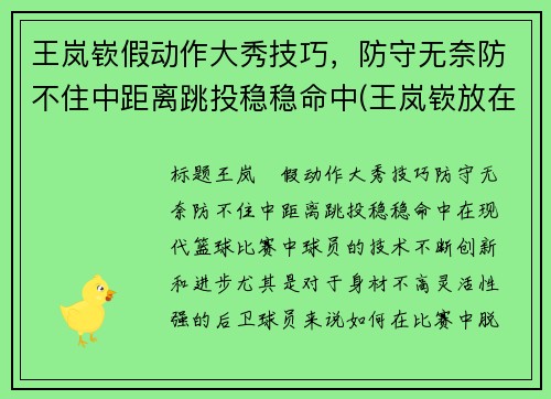 王岚嵚假动作大秀技巧，防守无奈防不住中距离跳投稳稳命中(王岚嵚放在cba什么水平)