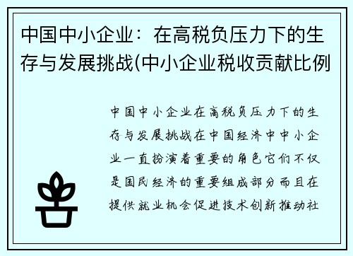 中国中小企业：在高税负压力下的生存与发展挑战(中小企业税收贡献比例)