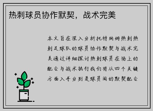 热刺球员协作默契，战术完美